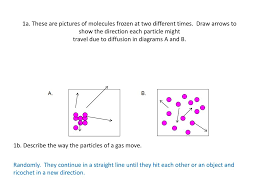 Diffusion and osmosis worksheet answer key. Ppt Diffusion And Osmosis Worksheet Powerpoint Presentation Free Download Id 2568552