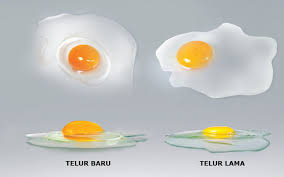 Maybe you would like to learn more about one of these? Jangan Sampai Salah Beli Ini 4 Tanda Telur Ayam Tidak Segar