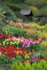 Find the perfect spring flower stock photo. Beautiful Spring Garden Spring Nature Flowers Bulbs Daffodils Garden Tulips Beautiful Gardens Dream Garden Flower Garden