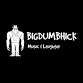 Sgt Peppers — BIGDUMBHICK event image