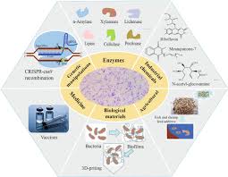 Maybe you would like to learn more about one of these? Bacillus Subtilis A Universal Cell Factory For Industry Agriculture Biomaterials And Medicine Microbial Cell Factories Full Text
