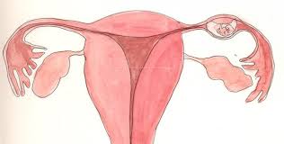 O sarcina extrauterina sau o sarcina ectopica apare atunci cand un ovul fertilizat se implanteaza si creste in afara cavitatii principale a uterului. Sarcina Extrauterina Ectopica Sfatulmamicilor Ro