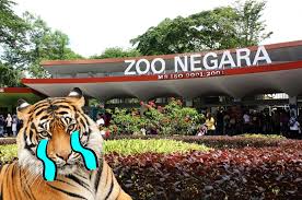 Google material design awards 2019. Zoo Negara Reportedly Does Not Have Money For Upgrading Works News Rojak Daily