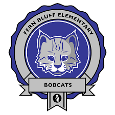 Fern Bluff Round Rock Isd