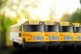 Image result for School Bus Yellow 2018 Fleet
