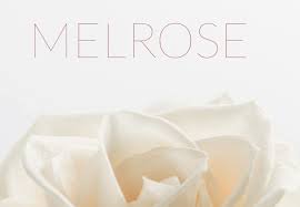 Omaha, nebraska hospitals and medical centers please contact us if you find any issues with this listing. Best Florists Flower Delivery In Omaha Ne 2021
