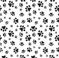 Black And White Paw Print Wallpaper Black And White And Wallpaper Image Dog Paw Print Paw Wallpaper Paw Print Background