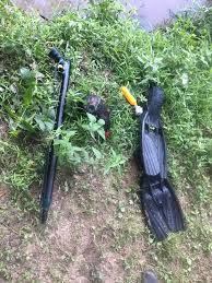 ILLEGAL FISHING: McDonald...