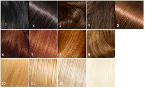 The Stages Of Hair Lightening How To Lighten Hair Lightening Dark Hair Hair Stages