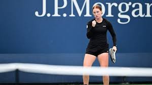 Image result for Seidelia