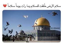 سلام لأرض خلقت للسلام وما رأت يوما سلاما القدس فلسطين funny arabic quotes arabic quotes cool words