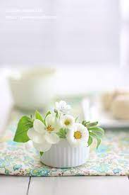 resim the marquise tarafindan kesfedildi we heart it de kendi gorsellerinizi ve videolarinizi kesfe beautiful flower arrangements white flowers flower photos
