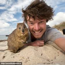 Çektiği Selfielerle İmrenilen Adam Allan Dixon