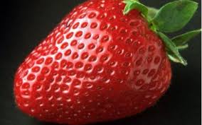 Maybe you would like to learn more about one of these? 50 Gambar Buah Buahan Segar Wallpaper Buah Lengkap Hd Salamadian