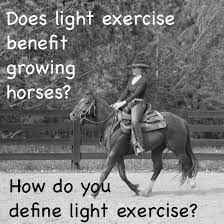 What Is The Best Age To Start A Horse Does Light Exercise Benefit Or Harm Growing Horses Official Site Of Stacy Westfall