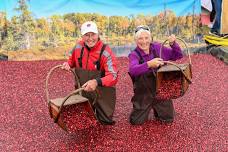 53rd Annual Warrens Cranberry Festival