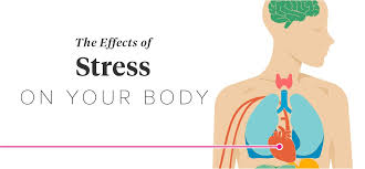 The Effects Of Stress On Your Body Effects Of Stress Types Of Stress Chronic Stress