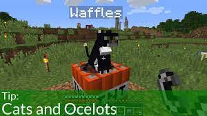 We did not find results for: Tip Cats And Ocelots In Minecraft Youtube