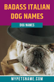 When it comes to picking out dog names what do you look for? Badass Italian Dog Names Dog Names Italian Dogs Dogs