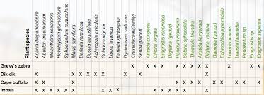 Image result for Lintonia nutans