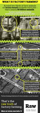 Farmageddon Co About Raw Factory Farming Animal Advocacy Animal Activism