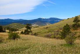 Maybe you would like to learn more about one of these? Explore Hiking Trails Near Golden Colorado