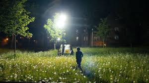 Sep 24, 2020 · window treatments will. The Controversial Floodlights Illuminating New York City S Public Housing Developments The New Yorker