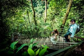 It i inside the ecological reserve fortuna waterfall, owned and operated. La Fortuna Waterfall Guide 2020 Costa Rica Experts