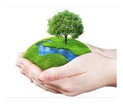World environment day (wed) is celebrated annually on 5 june and is the united nations' principal vehicle for encouraging awareness and action for the protection of the environment. Zzv7pe8xcmvyxm