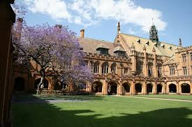 Sydney Google Search Wanderlust Sydney University Of Sydney University Programs Medical School