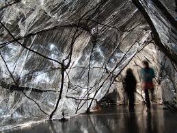 The healing powers of art. the exhibit features some. Tragedy Of Wild Waters Women Eco Artists Dialog