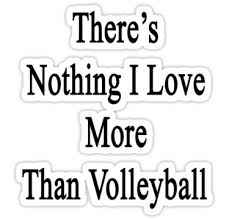 This Pic Is True Lol My Love Volleyball Love