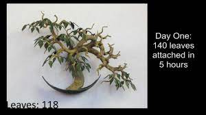 How To Mimic A Tree S Canopy For Origami Bonsai Tree Canopy Origami Bonsai