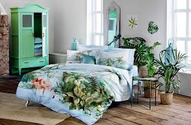 Yatak Odasinda Yetistirilebilen Bitkiler Nelerdir Iste 4 Ornek Evim