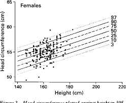 Pdf Centiles For Adult Head Circumference Semantic Scholar