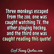 Add in the links i shared for more super funny jokes and you have enough to share a kids joke of the day for kids all year long. Funny Animal Quotes Cool Funny Quotes