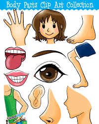 Search more hd transparent cartoon body image on kindpng. Body Parts Cartoon Png