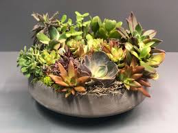 If there's one fast growing trend in plant arrangements, it's the world of succulent gardens. Large Succulent Arrangement In Corte Madera Ca Green Bouquet Floral Design