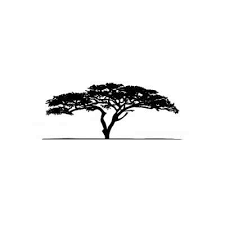 Check spelling or type a new query. Search Results For Acacia Tree Dibujos De Arboles Pintura De Arte Disenos De Unas