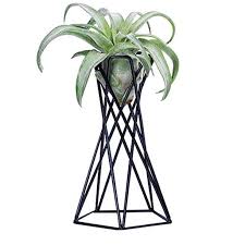 Super easy air plant containers. Tabletop Metal Air Plant Holders Stands Plant Containers Flower Racks Tabletop Metal Air Plant Holders Stands Plant Containers Flower Racks Walmart Com Walmart Com