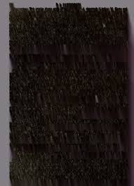 Image result for Monanthotaxis poggei