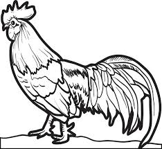 Chicken coloring page 0001 (1) coloring page for kids and adults from birds coloring pages, chicks, hens and roosters. Chicken And Rooster Coloring Pages