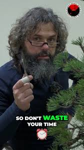 Bonsai Frënn Minett Déifferdeng