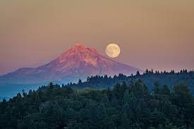 Welcome to powell butte romneys. Trekkerdave On Twitter Moonrise Over Mount Hood From Powell Butte Nature Park Pnw Landscape Oregon Omht Sunset Moonrise Mthood
