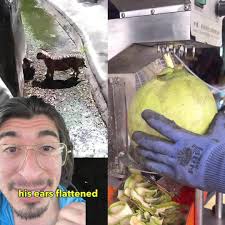 Tiger Encounter Thailand Gone Wrong