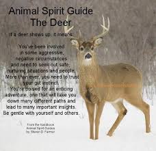 Pin By Sb2515 On All About Me Animal Spirit Guides Animal Totem Spirit Guides Animal Spirit Guide