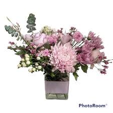 Aimee Packard Obituary March 24, 2025