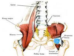 Common conditions that cause this type of pain are discussed below. Yoga For Paddlers Side Stretch For Your Lower Back And Hip Jackson Adventures