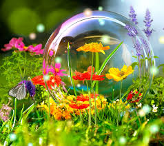 2160x1920 Spring Flowers Nature Scene Hd Wallpapers Free Download Wallpaper Nature Flowers Spring Flowers Wallpaper Flower Wallpaper