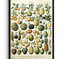 Poster met lijst Vintage - Poster met lijst collecties